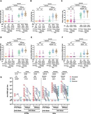 Immunity against Delta and Omicron variants elicited by homologous inactivated vaccine booster in kidney transplant recipients